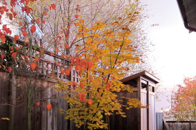 Inspiration for a modern shed remodel in Seattle