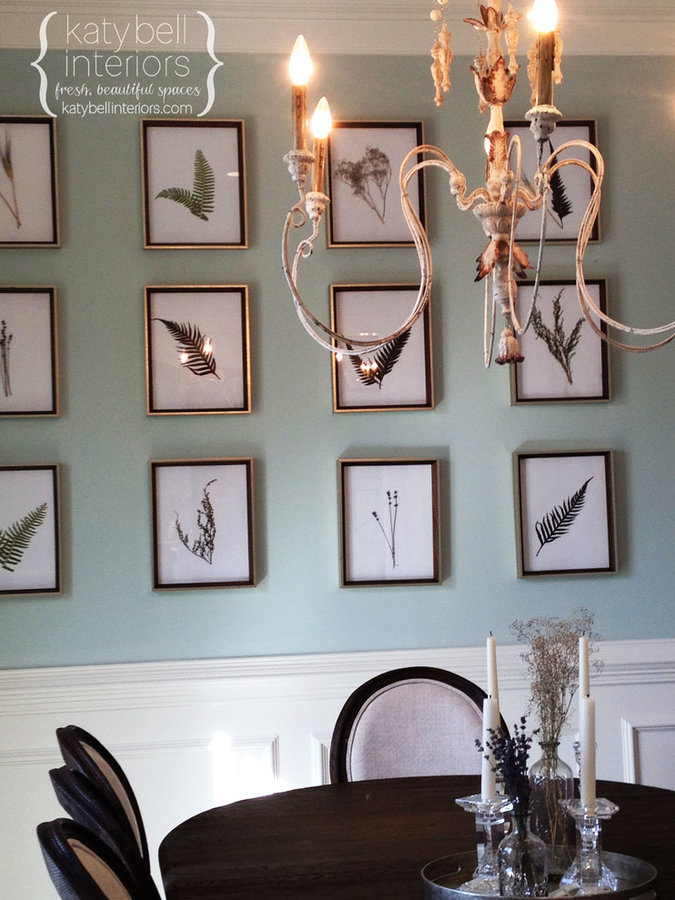 Botantical Display