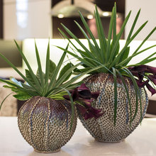 cool plant pots