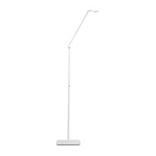 lamps