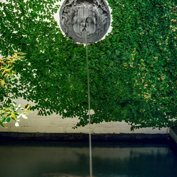 Contemporary Urban Garden