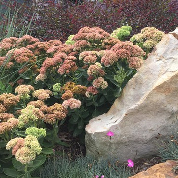 Lots of Texture.