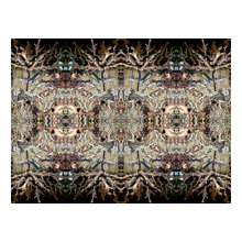 Photo entropy