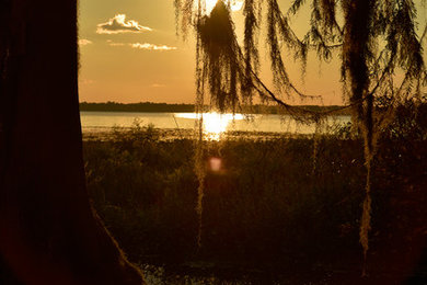 Land of Magic and Dreams No 1 (Half Moon Tree)