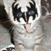 Jason Frank's photo