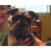 Kara Westbrook's photo