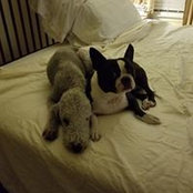 Judith Lacroix's photo
