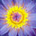 loralee_walker41