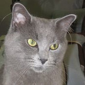 Tammy Ernst's photo