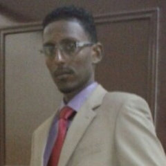 engineer