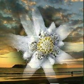Donna Wilkes's photo