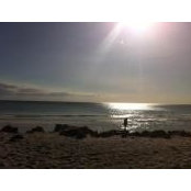 Mayda Arditi's photo
