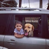 Ibrahim Mansour's photo