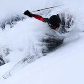 Tomas Rosinski's photo