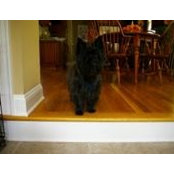 Elizabeth Moore's photo