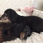 Amy Spencer Seaton's photo