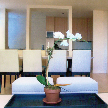 Central Park West Minimalist Apartment