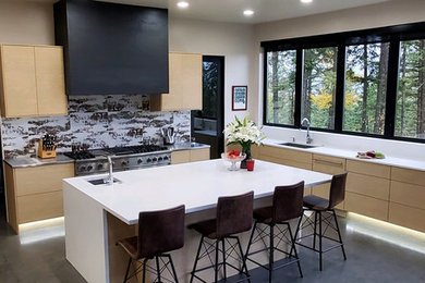 Example of a minimalist kitchen design in Other