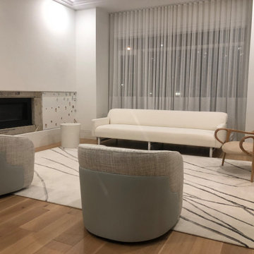 "StainProtect" your beautiful new Furnishings and Rugs