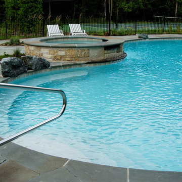 Glenview, IL Natural Swimming Pool and Raised Hot Tub