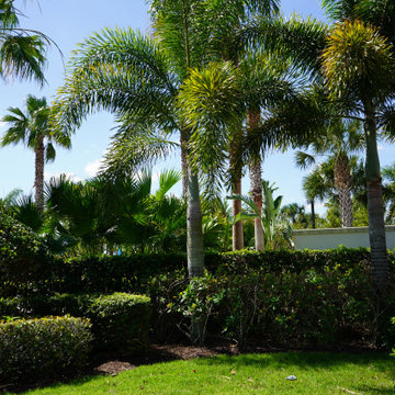 Outdoor Living Spaces