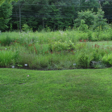 Compilation of Rain Garden Projects