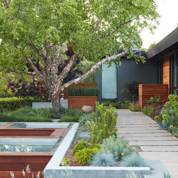 Los Gatos Garden