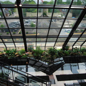 Interior Landscape