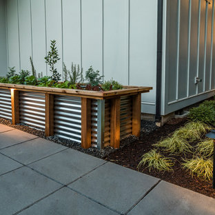 Cette photo montre un jardin tendance.