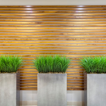 Professional Offices