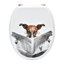 Toilet seat cover