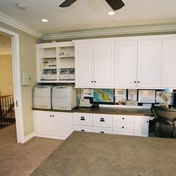 Professional Home Office