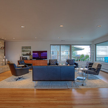 Mid-Century View House