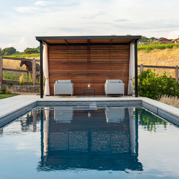 NAPA DREAM