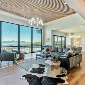 Living & Family Room Designs