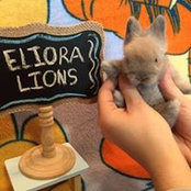 Mafalda de Lima's photo