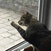 Kathy Nash's photo