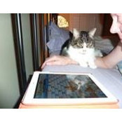 Foto von Rick Packard