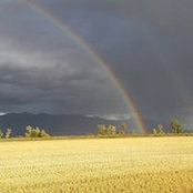 Foto von Darlene Wiebe