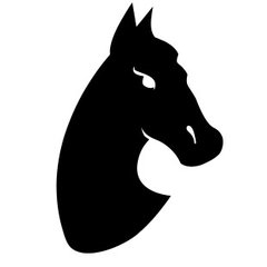 Dark Horse Workshops