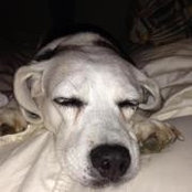 Barbara Dennihy's photo