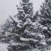 Michelle Francowic's photo