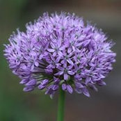Casey DePriest's photo