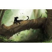 Evgen Sokol's photo