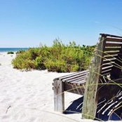 Stacey Stefansky-Constance's photo