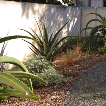 front yard