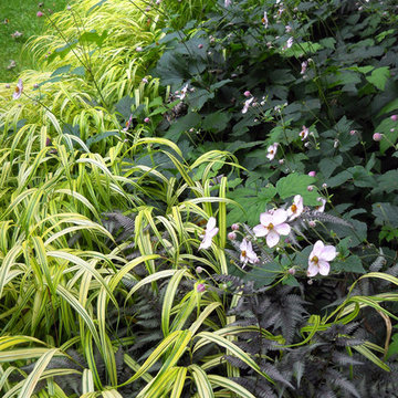 Hillside Meadow
