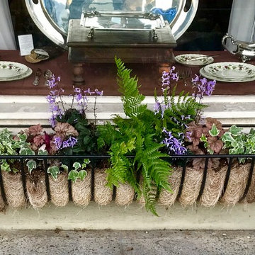 Southern Window Boxes