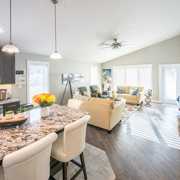 Stony Plain Project - Open Concept