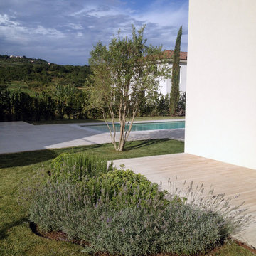 Mediterranean garden